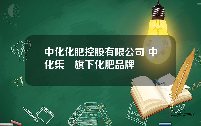中化化肥控股有限公司 中化集團旗下化肥品牌